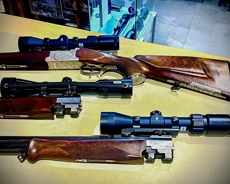 Un large choix d'optiques pour votre carabine